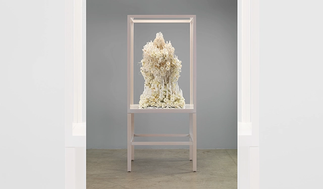 Petah Coyne: How Much A Heart Can Hold