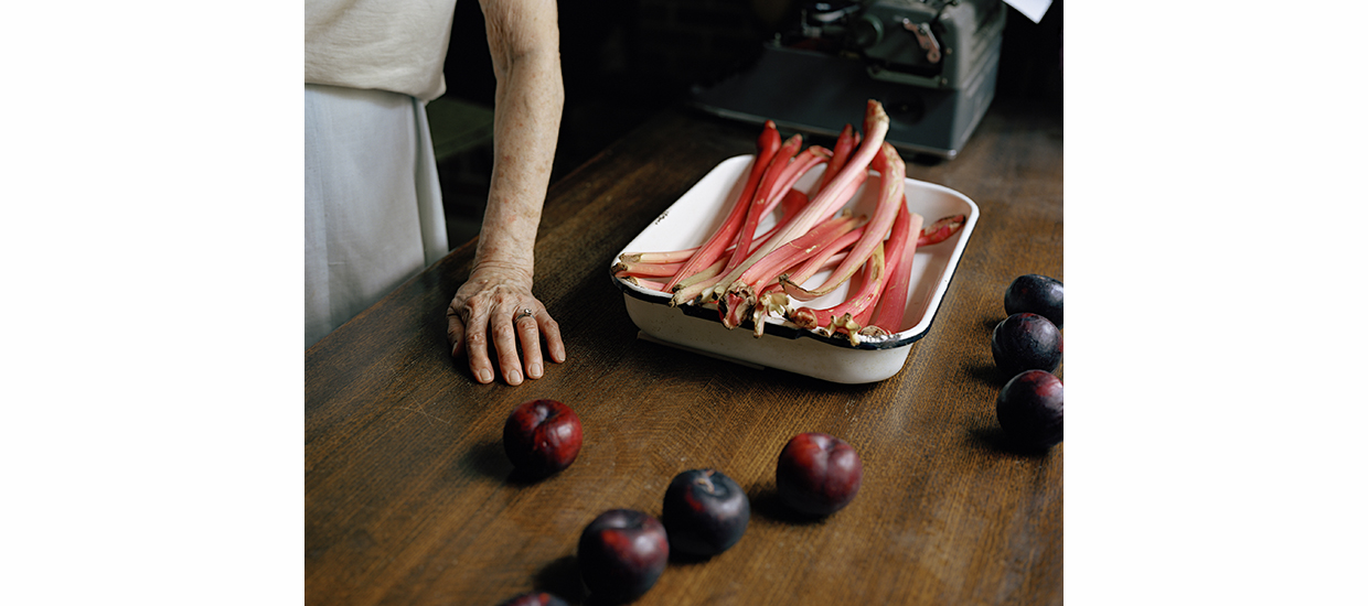 Color photograph of a table with a partial arm and hand leaning on the table with fruit scattered around and some type of organic plant food that is red sitting in a white tray. 