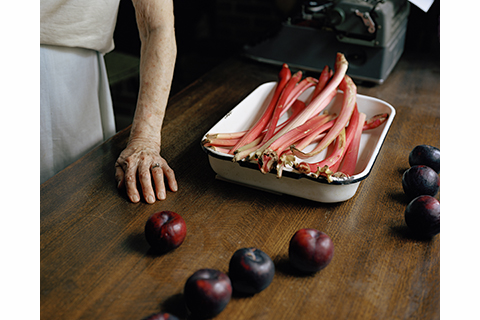 Color photograph of a table with a partial arm and hand leaning on the table with fruit scattered around and some type of organic plant food that is red sitting in a white tray. 