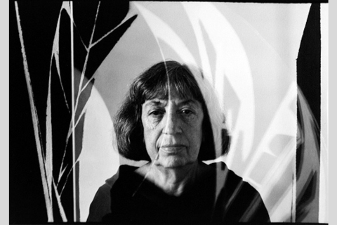Picture of Lee Krasner shot by Arnold Newman